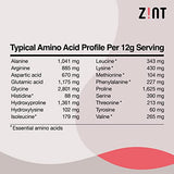 Zint Collagen Peptides Powder: Paleo & Keto Certified - Granulated Collagen Hydrolysate Types I & III for Enhanced Absorption - Enzymatically Hydrolyzed Protein for Women & Men, 16 oz, 2 Pack