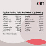 Zint Collagen Peptides Powder (32 oz): Paleo-Friendly, Keto-Certified, Grass-Fed Hydrolyzed Protein Collagen Supplements - Unflavored, Non GMO