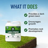 Turf Titan Lawn Striper - Lawn Fertilizer for Deep Green Color- Powerful Nitrogen Fertilizer with Iron for Plants and Lawn Care - Liquid Fertilizer for Lawn Greening - 32 oz - No Hose Sprayer