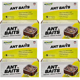 RESCUE! Ant Baits – Indoor Ant Killer, Ant Trap Alternative - 4 Pack (24 Bait Stations)