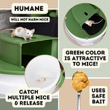 3 Pack Humane Mouse Trap | Mouse Trap Bucket for 5 Gallon Bucket | Humane Mouse Traps Indoor for Home | Live Mouse Trap Bucket Flip Lid Auto Resets and Holds Multiple Mice | Green Color Attracts Mice