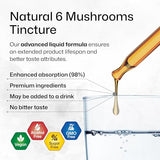 MAUWE HERBS 6 Mushrooms Supplement 6-in-1 - Lions Mane, Shiitake,Turkey Tail, Cordyceps, Reishi & Chaga Liquid Extract - Mushroom Complex Tincture - Organic and Vegan Drops 4 Fl.Oz.