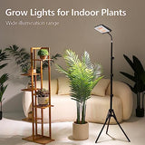 LBW Stand Grow Lights for Indoor Plants, Full Spectrum 144 LEDs Plant Grow Light, Upgraded Floor Grow Lamp with Adjustable Tripod Stand 21-68in, On/Off Switch,Ideal for Tall Large Houseplant Growing