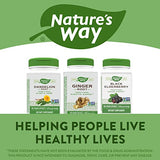 Nature's Way Ginger Root, Traditional Digestive Support*, 1,100 mg, 240 Vegan Capsules