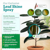 Houseplant Leaf Shine Spray - Leaf Polish, Gloss, and Shine, Perfect for House Plants and Foliage