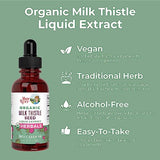 Milk Thistle Seed Liquid Drops by MaryRuth's | Sugar Free | USDA Organic Milk Thistle Drops | Herbal Tinctures | Unflavored | Vegan | Gluten Free | 30 Servings | 1 Fl Oz