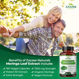 Zazzee Organic Moringa Oleifera 10:1 Extract, 7500 mg Strength, 100% Pure Superfood, 180 Vegan Capsules, Concentrated and Standardized 10X Leaf Extract, Vegetarian, All-Natural and Non-GMO