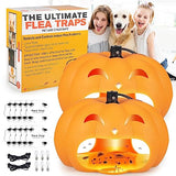 Flea Traps for Inside Your Home,Flea Trap 2 Pack Flea Killer Trap with 6 Light Bulbs & 10 Sticky Discs Bed Bug Traps,Flea Light Trap for Indoor Lamp Bug Catcher for Fleas, Moths, Ants and Cockroaches