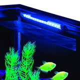 GloFish Blue LED Aquarium Light 8 Inches, 1 Count, Waterproof