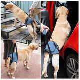 Dotoner Dog Sling for Large Dogs Hind Leg Support to Help Rehabilitate The Hind Limbs of Elderly Dogs with Weak Hind Legs Disabilities and Injuries Dog Harness Helps Arthritis ACL Recovery（L,Blue）