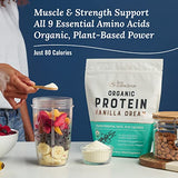 Live Conscious Organic Pea Protein Powder - Vanilla Dream Flavor | Low-carb Plant-Based Vegan Protein Blend - Pea, Brown Rice, Pumpkin, Sacha Inchi | 20 Servings 18.2 oz