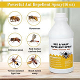 Bee Spray with Natural Plant-Based Peppermint Oils, Wasp and Bee Repellent, Repellent Bug Spray and Carpenter Wasps for Outdoors/Indoors Areas, 16oz