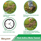 Mole Traps That Kill Best, Scissor Mole Traps for Lawns Vole Traps Outdoor Use, Mole Trap Easy to Set Galvanized Steel Reusable Quick Capture Gopher