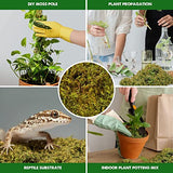 DUSPRO Big Bag Dried Forest Moss for Plant Propagation Sphagnum Moss Bulk for Orchid Repotting Mix Organic Soil Medium Bale Premium Hand Selected 16 QRT