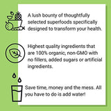 Smart Pressed Organic Greens Superfoods Juice Powder Single Serving Cold-Pressed Vegan Alkalizing Green Juice Cleanse Detox (Original, 30 Servings Bottle)