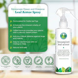 Leaf Armor by Houseplant Resource Center | Natural Indoor Plant Leaf Shine Spray for Fiddle Leaf Fig, Ficus Audrey, Monstera and Other houseplants (8 Fluid Ounces)