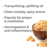Plant Therapy Frankincense Serrata Essential Oil 100% Pure, Undiluted, Natural Aromatherapy, Therapeutic Grade 30 mL (1 oz)