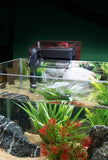 Fluval C2 Power Filter, Fish Tank Filter for Aquariums up to 30 Gal.