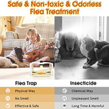 Flea Traps for Inside Your Home, 2 Pack Flea Trap Light Indoor, Bedbug Killer w/Sticky Pads Refills & Light Bulb Replacement, Safe Natural House Pest Control Infestation Treatment Trap Lamp for Pet