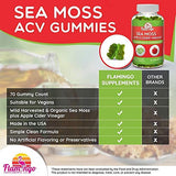 Sea Moss Gummies with Apple Cider Vinegar, Bladderwrack, and Burdock Root Organic- Sea Moss Gummies for Adults and Kids- Vegan, Organic, Irish Seamoss for Detox Cleanse, Seamoss and ACV – 70 Ct