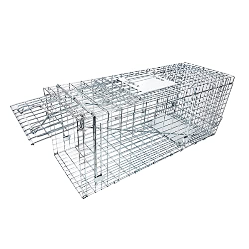 Large Collapsible Humane Live Animal Cage Trap No-Kill Trapping Kit for Humane Catch Release Rabbits, Stray Cat, Squirrel, Raccoon, Other Fit Sized Animals, Heavy Duty, 2-Doors 32" x 11.5" x 12.5"