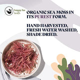 Sea Moss Raw Organic Purple for Seamoss Gel by Happy Fox Health - Wildcrafted, Dr. Sebi Approved, Trusted Brand - Makes 70oz / 2.5+ Mos Supply - Purple Sea Moss Gel Organic - 100 Gr Pack
