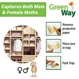 GreenWay Clothing Moth Traps (2 Traps) - Moth Traps for Clothes Closets - Alternative to Cedar Balls and Moth Balls for Closet - Pheromone Attractant & Eco