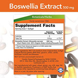 Now Foods Boswellia Extract 500 mg Softgels, 90 Count x 2