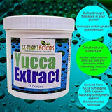 GS Plant Foods Yucca Extract Wetting Agent - All Natural Wetting Agent (8 Ounces Concentrate) - Soil & Plant Thirst Quench for Plants, Lawns & Soil - Liquid Aeration Soil Loosener