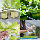 Legigo 2" Rockwool Starter Plugs- Rockwool Grow Cubes Rock Wool Seed Starters Cloning Cubes, Rock Wool Planting Cubes for Hydroponics, Cuttings, Soilless Culture, Plant Propagation (96 Plugs Total)