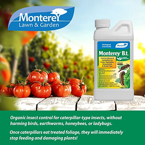 Monterey LG6332 Bacillus Thuringiensis (B.t.) Worm & Caterpillar Killer Insecticide/Pesticide Treatment Concentrate, 16 oz