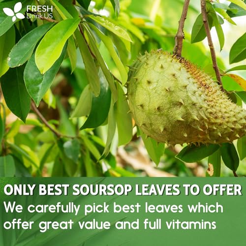 FreshDrinkUS, 230+ Premium Soursop Graviola Leaves Tea, 230-250 Natural Whole Dried Leaves, Wildcrafted, Graviola, Soursop, Hoja Guanabana, Soursop Loose Leaf Herbal Tea, No Gluten, Vegan, Soursop/ Guanabana/ Graviola Tea