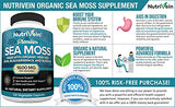 Nutrivein Organic Sea Moss 1600mg Plus Bladderwrack & Burdock - 120 Capsules - Prebiotic Super Food Boosts The Immune System & Digestive Health - Thyroid, Healthy Skin, Keto Detox, Gut, Joint Support