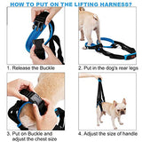 ROZKITCH Pet Dog Support Harness Rear Lifting Harness Veterinarian Approved for Old K9 Helps with Poor Stability, Joint Injuries Elderly and Arthritis ACL Rehabilitation Rehab L Blue