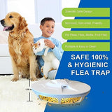 Kiwinurse Flea Trap for Inside Your Home - Indoor Flying Traps and Killer with 5 Flea Trap Refills and 9 Flea Trap LED Lights