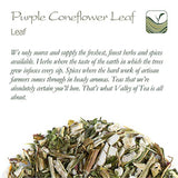 Purple Coneflower Herb Echenecia Tea - Immunity Support Tea - Echinacea Tea Coneflower Tea Echinacea Herb Purple Tea Echinacea Herb Dry Echinacea Dried Herb Echinacea Leaves Purple Echinacea Tea