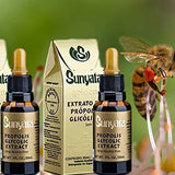 Brazil Brazillian Green Bee Propolis Liquid Extract Sunyata No Alcohol 30ML(1 Pack)