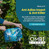 Sunday Ant Adios - Insect & Ant Killer - Outdoor Ant Killer Uses Spinosad to Eliminate Ants, Earwigs, Cutworms, & More - for Organic Gardening - Treats 4,000 sq ft - Results in 3-14 Days - 2lbs