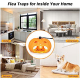 Flea Traps for Inside Your Home,Flea Trap 2 Pack Flea Killer Trap with 6 Light Bulbs & 10 Sticky Discs Bed Bug Traps,Flea Light Trap for Indoor Lamp Bug Catcher for Fleas, Moths, Ants and Cockroaches