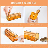 6 Pack Live Mouse Traps No Kill, Humane Mouse Traps Indoor for Home, Reusable Mice Trap Catcher for House & Outdoors