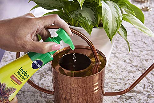 Miracle-Gro 100055 Indoor Plant Food, (3)