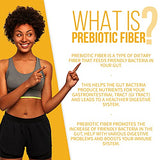 GOBIOTIX Fiber Supplement - Prebiotic Soluble Fiber Powder, Supports Gut Health and Digestive Regularity - Gummies Alternative - Gluten & Sugar Free, Keto, Vegan - 1 Scoop Daily, 35 Servings (3 Pack)