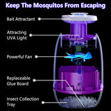 Pzqzmar Fruit Fly Trap,Indoor Insect Trap,Electric Bug Zapper Catcher for Fruit Flies,Flying Insect,Mosquito,Gnat,Moth,Mosquito Killer&Repellent Lamp for Home House,UV Light&Sticky Glue,Plug-in(White)