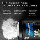 MuscleTech Cell-Tech Creactor | Creatine HCl Formula | Muscle Builder for Men & Women | Creatine HCl + Free-Acid Creatine Supplements | Fruit Punch Extreme, 120 Servings