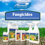 Monterey LG 3174 Ready to Use Fungicide & Bactericide for Control of Garden & Lawn Diseases, 32-Ounce RTU, 32 oz