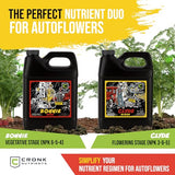 Cronk Nutrients Bonnie & Clyde Autoflower Nutrients Bloom and Grow – Yield Increasing Autoflower Plants Nutrient Kit – Easy to Use Plant Food – Optimal Formula for Optimal Results, 500mL