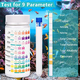 Aquarium Test Strips for Freshwater Fish: 9 in 1 Fish Tank Water Testing Kit for Aquarium Pond - Testing Nitrate Nitrite Hardness Free Chlorine pH Carbonate Total Alkalinity-100 Strips