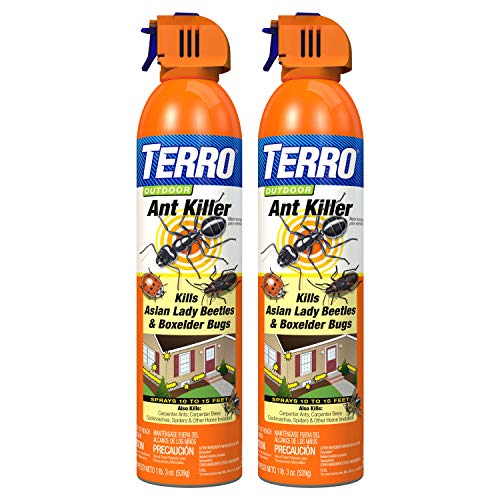 TERRO T1700SR 2 Pack 19 oz Outdoor Ant Killer Spray, White