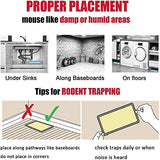 Mouse Traps,Rat Traps,Mouse Traps Indoor,Rat Traps for House,Mouse Glue Traps,Mice Traps for House,Sticky Traps, Glue Boards Professional Strength That Work Capturing Indoor and Outdoor Rat