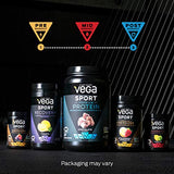 Vega Sport Premium Vegan Protein Powder, Berry - 30g Plant Based Protein, 5g BCAAs, Low Carb, Keto, Dairy Free, Gluten Free, Non GMO, Pea Protein for Women & Men, 1.8 lbs (Packaging May Vary)